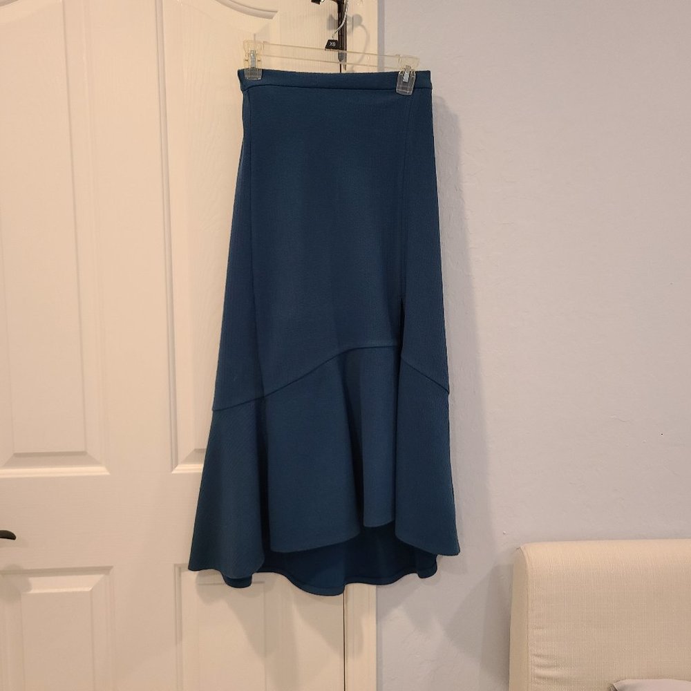 Anthropologie Blue A-Line Skirt